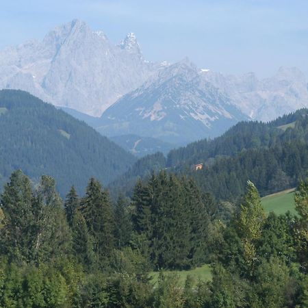 Haus Dachstein Schnitzer Hotel Eben Im Pongau Eksteriør billede