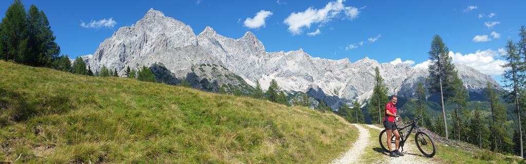 Haus Dachstein Schnitzer Hotel Eben Im Pongau Eksteriør billede