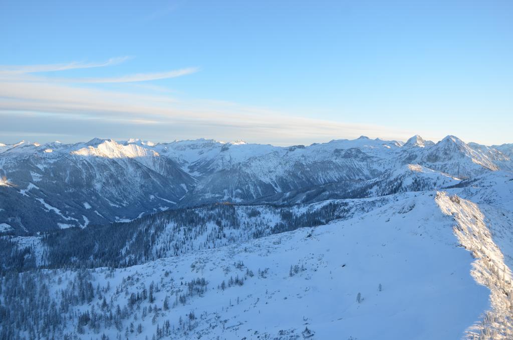 Haus Dachstein Schnitzer Hotel Eben Im Pongau Eksteriør billede